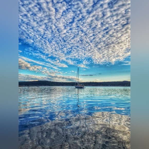 Meet your Posher, Mary - Picture 7 of 12